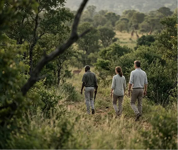 Walking safari with a tracker in Phinda