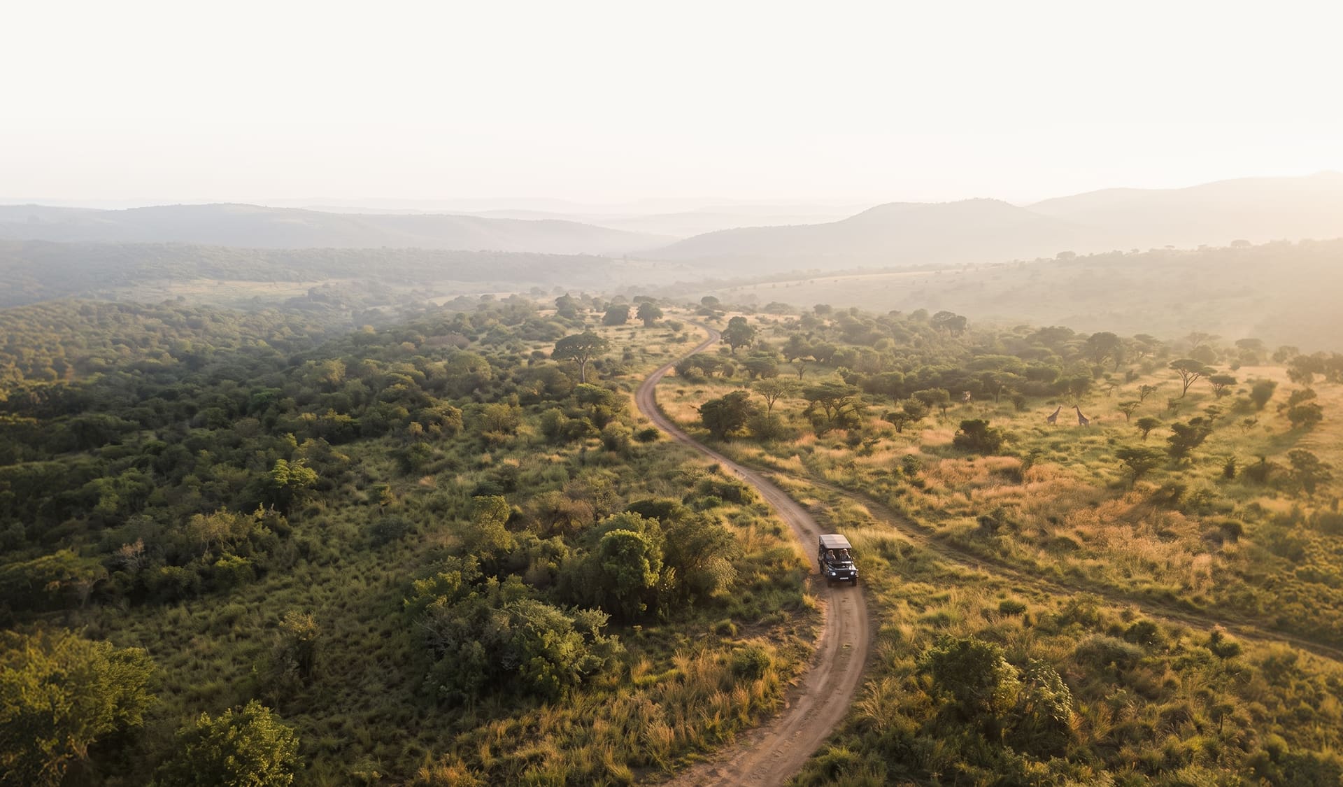 Safari vehicle on a dirt road through the Zululand bush