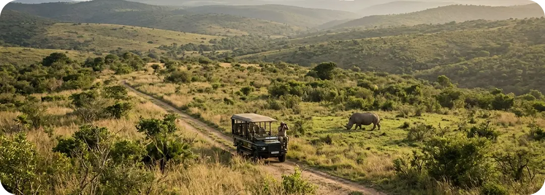 Open safari vehicle on a hillside in Hluhluwe-iMfolozi