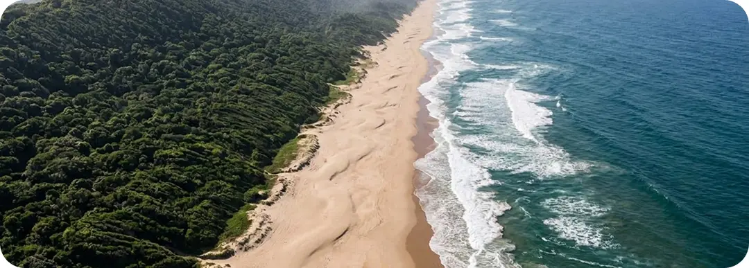Dune forest meeting the Indian Ocean at iSimangaliso